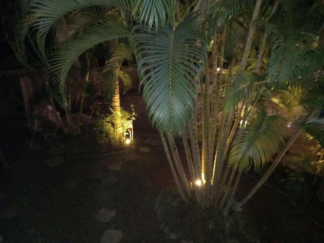 Oasis Palms Hotel Нади Екстериор снимка